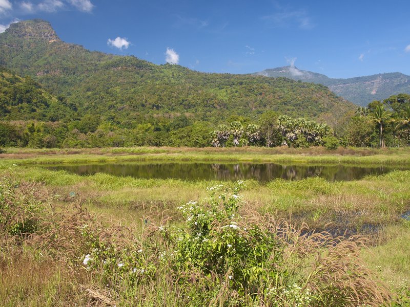 Champasak, Wat Phu